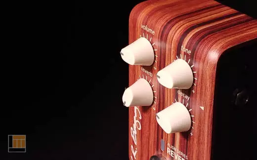 L.R Baggs - LR-ALIGN-REVERB 2